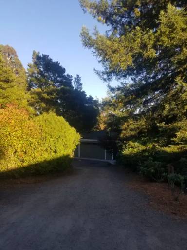 Main picture of 10400 Deblyn Ln