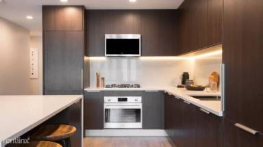 Main picture of 1111 N Wells St