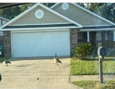 Main picture of 3825 Timberlake Dr