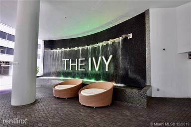 Main picture of The Ivy