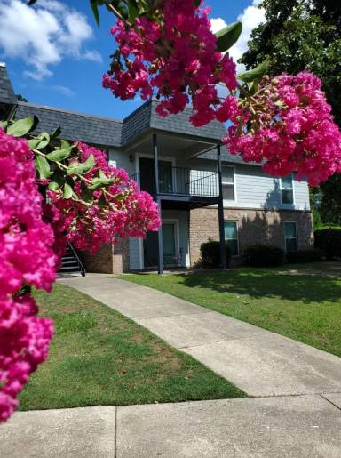 Main picture of Camelot Dothan