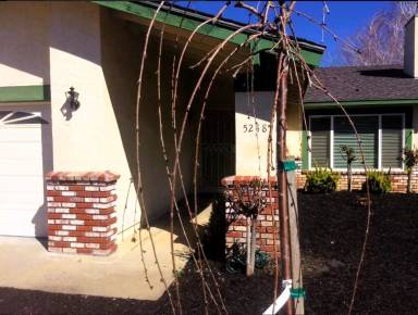 Main picture of 5248 Felicia Ave