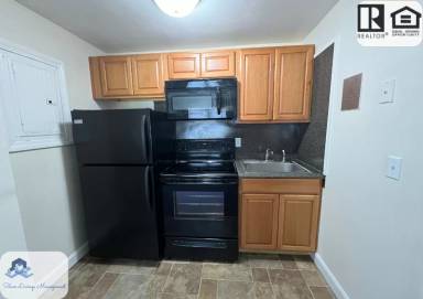 Main picture of Central Village