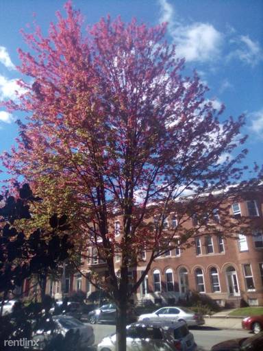 Main picture of 2929 Saint Paul St