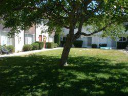 Main picture of 10310 El Camino Real