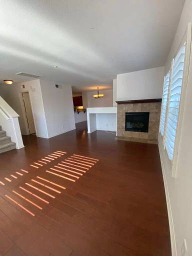 Main picture of 3543 Shoreline Bluff Ln