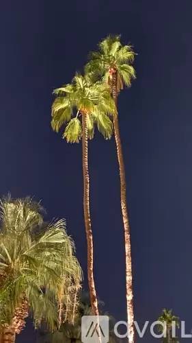 Main picture of 650 E Palm Canyon Dr