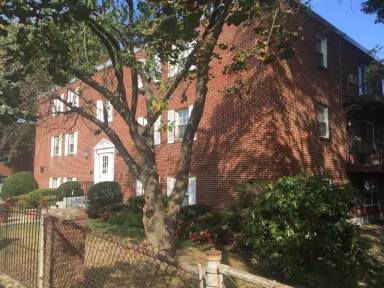 Main picture of 276 Albion St