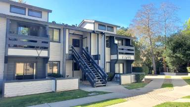 Main picture of 35 Stenner St