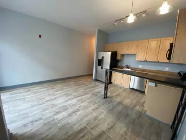 Main picture of Village Lofts