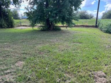 Main picture of 3204 Rose Pl