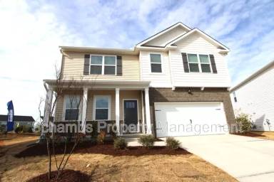 Main picture of 100 Pantaneiro Way