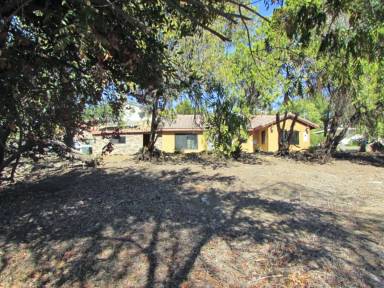Main picture of 31482 Sierra Linda St