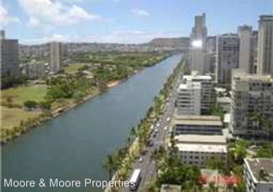 Main picture of Hawaiian Monarch