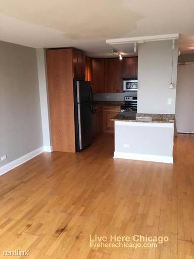 Main picture of 450 W Briar Place Apartments