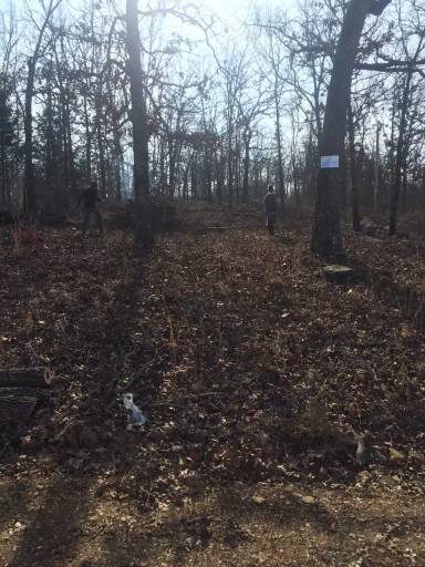 Main picture of 35984 Owl Dr