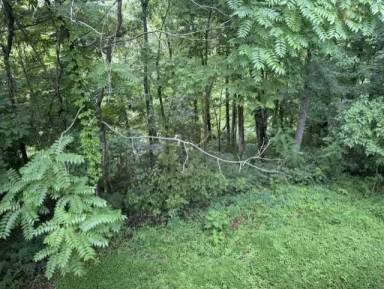 Main picture of 625 Lattie Reece Rd - B