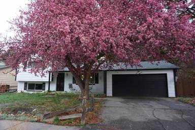 Main picture of 4018 Goldenrod Dr