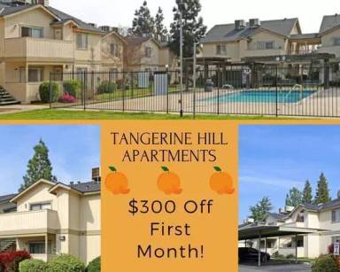 Main picture of Tangerine Hill Apartments