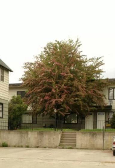 Main picture of 407 E Wallace Ave