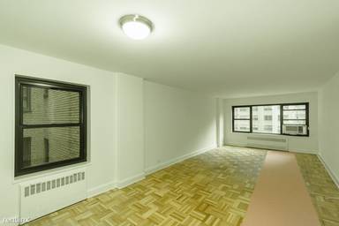 Main picture of 412 E 55th St