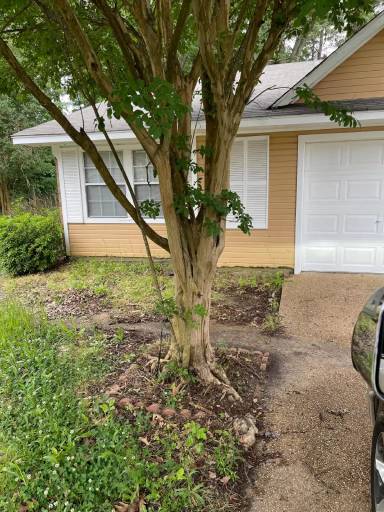 Main picture of 228 Brendalwood Blvd