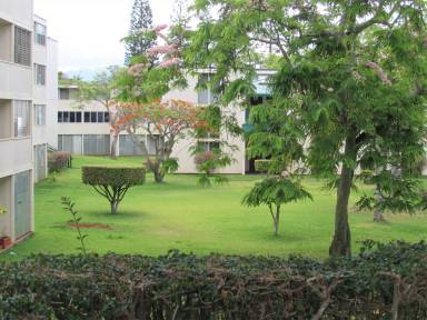 Main picture of Nahoa Apartments