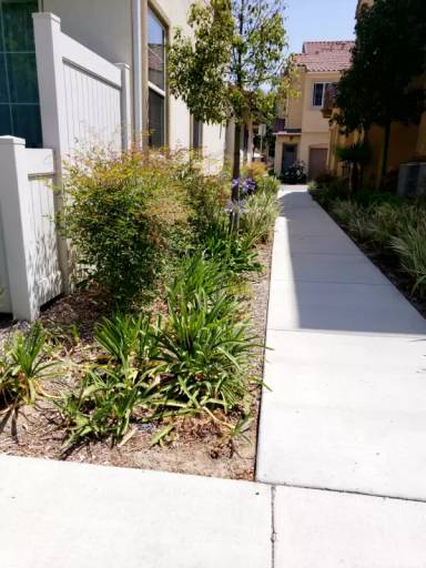 Main picture of 1635 Santa Alexia Ave