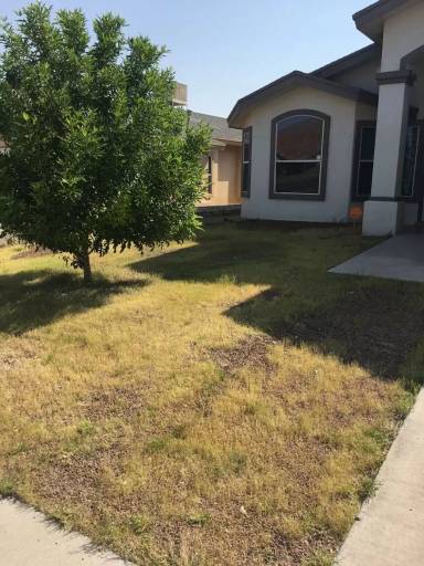 Main picture of 708 Teichelkamp Dr