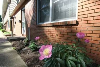 Main picture of 298 Mentor Ave