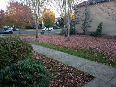 Main picture of 2103 E Sam Parrett Dr
