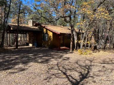 Main picture of 237 E White Mtn Blvd