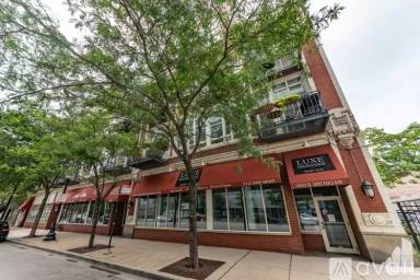 Main picture of 1631 S Michigan Ave