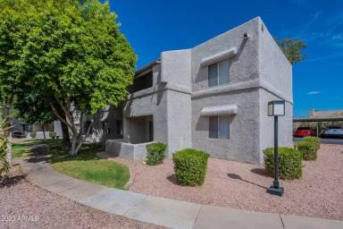 Main picture of Paradise Park Condominiums