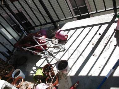 Main picture of 16 Elmer St