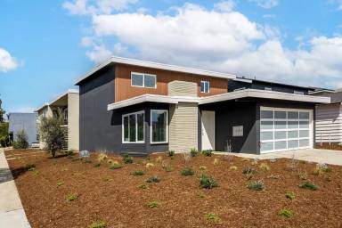 Main picture of 1303 Amethyst St
