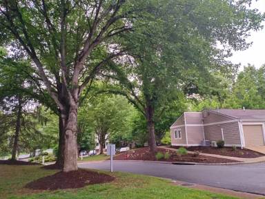 Main picture of Maple Ridge Apartments
