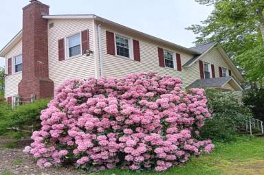 Main picture of 605 Old Wellington Rd