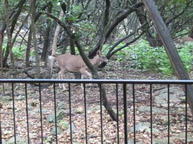 Main picture of Stillhouse Canyon Condo