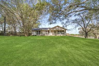 Main picture of 11417 County Road 203