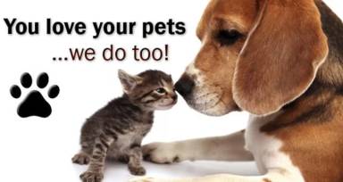 Main picture of 386 Lemon St NE