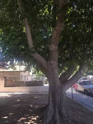 Main picture of 38756 4th St E