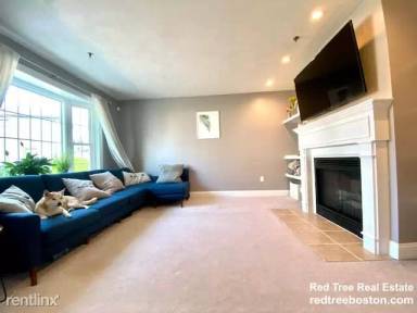 Main picture of 25 Sumner St