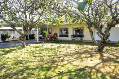 Main picture of 331 Kalama St
