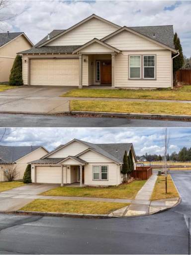 Main picture of 61164 Cone Flower St