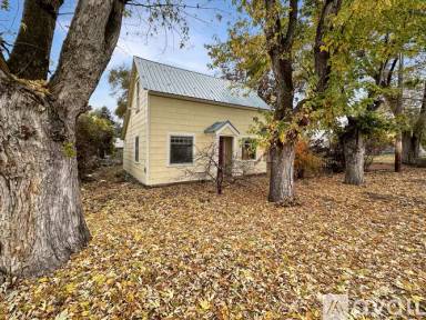 Main picture of 1985 15th St