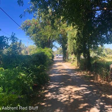 Main picture of 8410 State Highway 99E