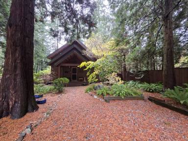 Main picture of 713 Claire Ln