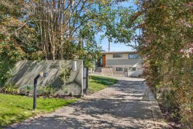 Main picture of 3937 Orangewood Dr
