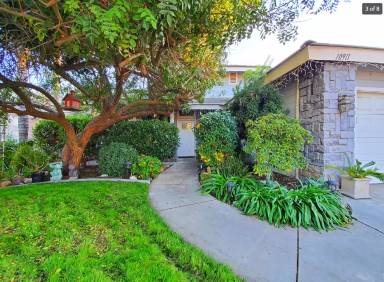 Main picture of 10911 Martingale Dr